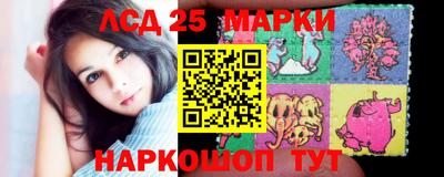 apvp Аша