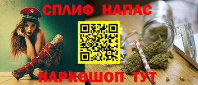 apvp Аша