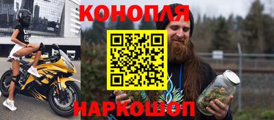 apvp Аша
