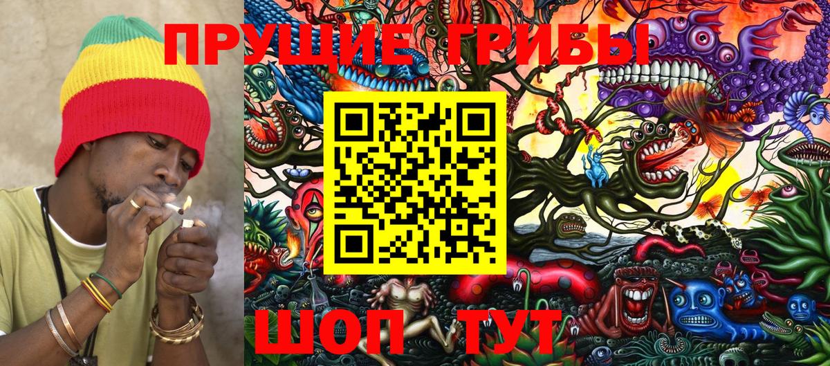 Псилоцибиновые грибы Cubensis Ефремов