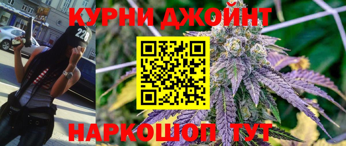 Бошки Шишки план Ефремов